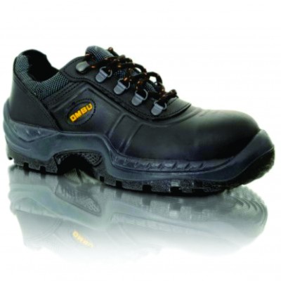 Zapato ozono 1