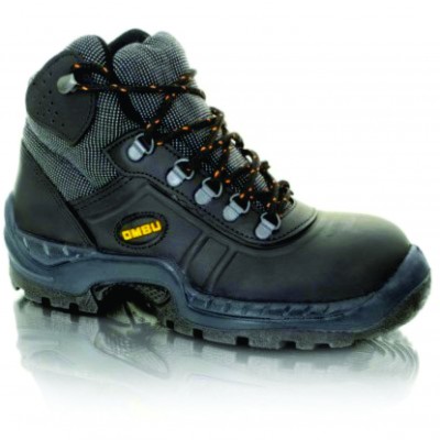 botin ozono 1